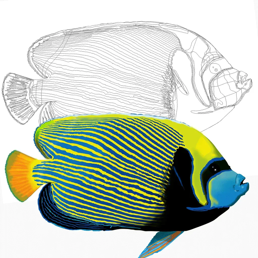 Imperator design vectortiel